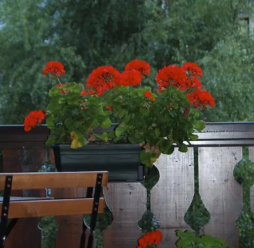 Lejlighed Courmayeur Chamonix