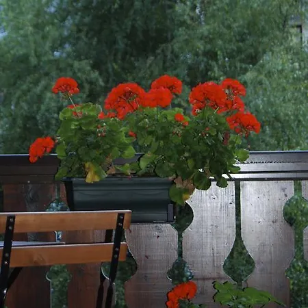 アパート クールマイユール シャモニー